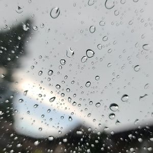 Meet your Posher, Sean